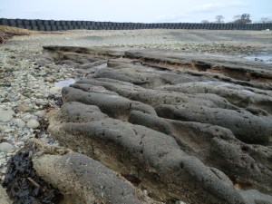 海食を受ける粘土層